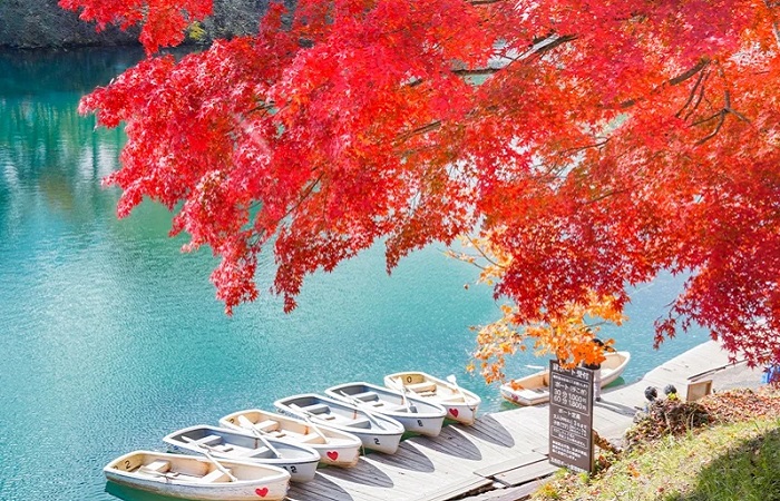 東北會津若松7日